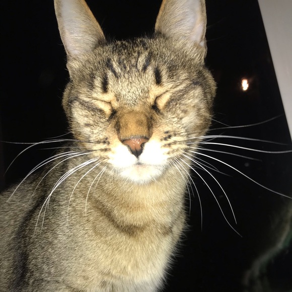 Meet your Posher, Elissa - Picture 1 of 1